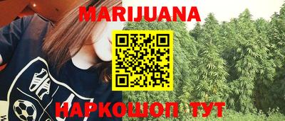 сатива Лесосибирск