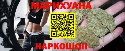 сатива Лесосибирск