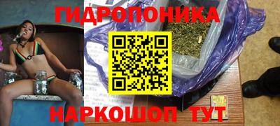 сатива Лесосибирск