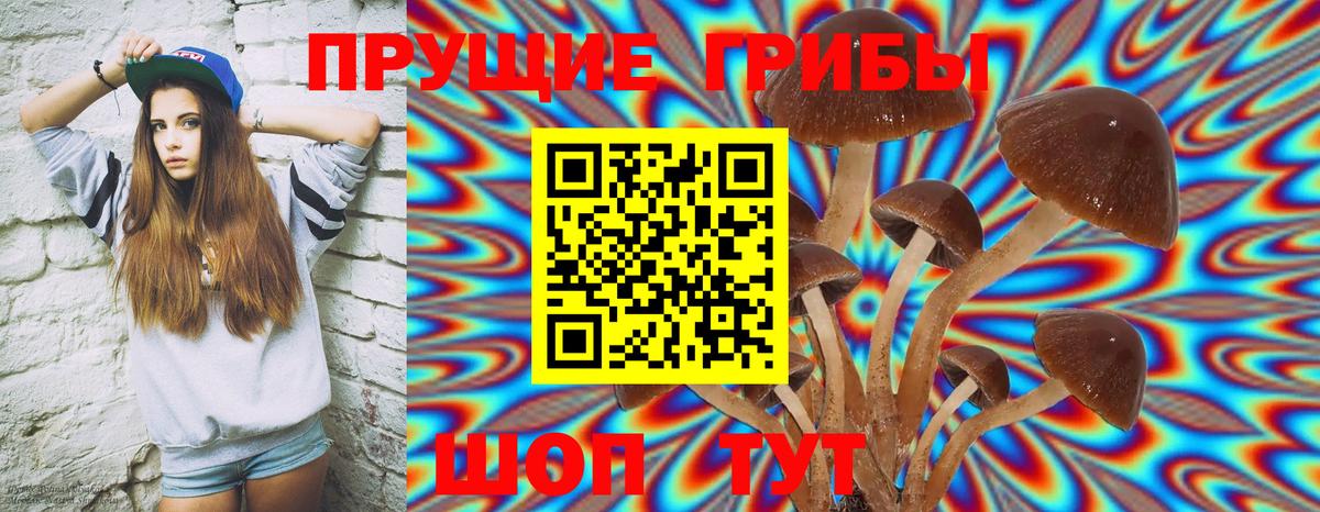 Псилоцибиновые грибы MAGIC MUSHROOMS  Вход с VPN  Щёлково  Галлюциногенные грибы прущие грибы 