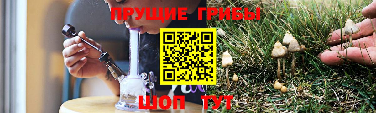 Галлюциногенные грибы MAGIC MUSHROOMS Щёлково